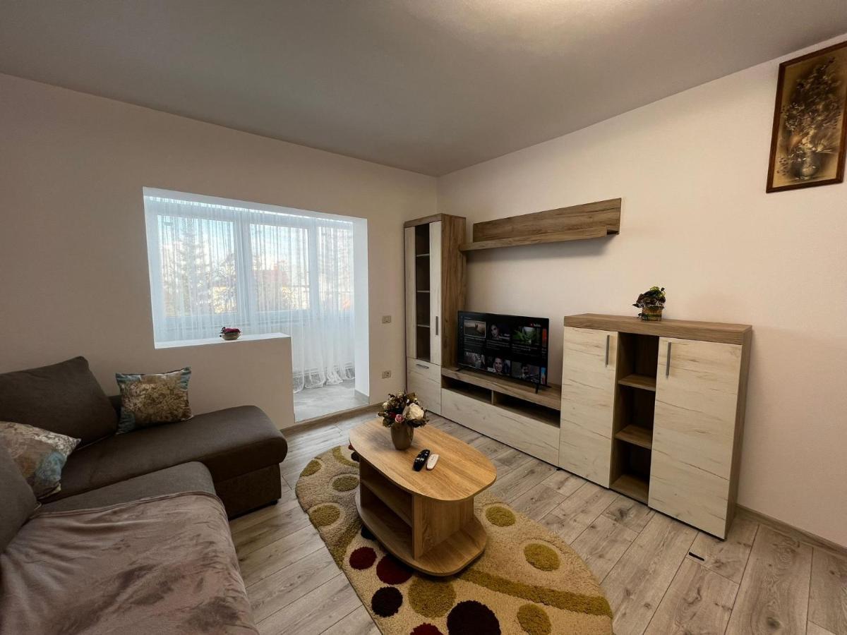 Cozy Urban Accommodation In Beautiful Suceava Luaran gambar